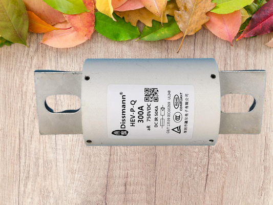 Cầu chì ô tô gốm DC30KA 1000VDC phù hợp với bộ sạc EV