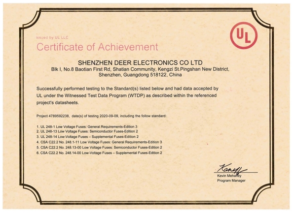Trung Quốc Dissmann | Global Expert Fuse for EV | HEV | Photovoltaic | Battery | Energy Storage Solutions Chứng chỉ